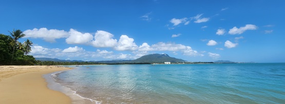 Beschreibung des Bildes